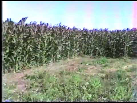 Checking out the farm land 1984