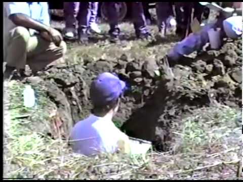 Dirt Study at Tree Farm