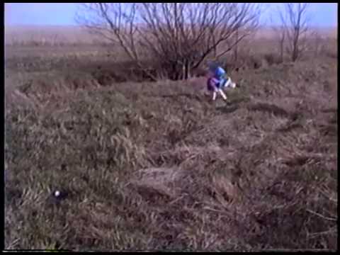 Easter Egg Hunt 1996