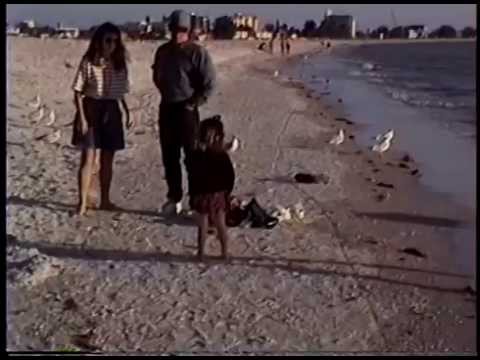 Feeding Seagull’s Treasure Island Beach