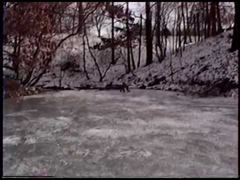 Ice Scating on a Pond