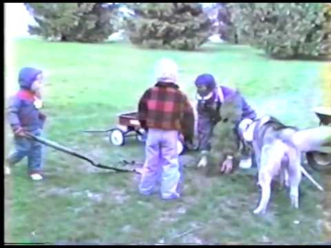 Tyler & Dustin Planting Their Trees